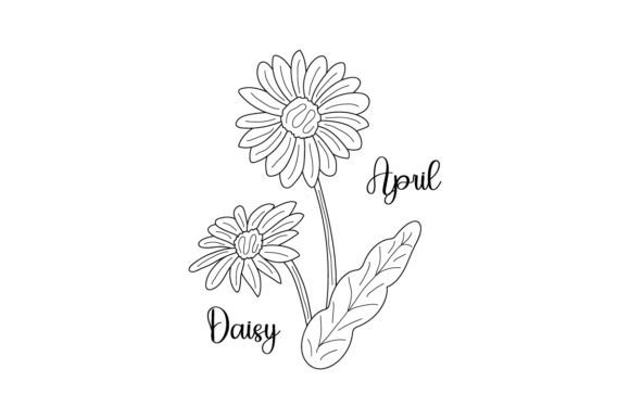 April Daisy Line Art Embroidery