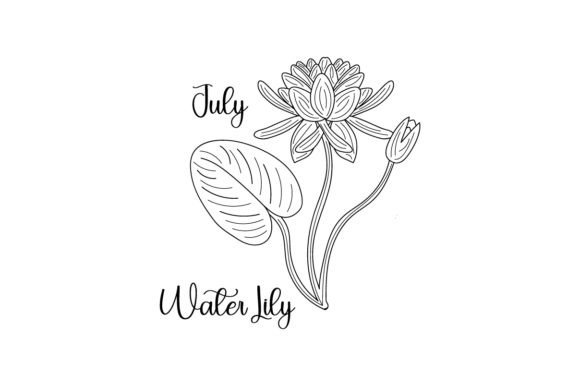 July Water Lily Embroidery
