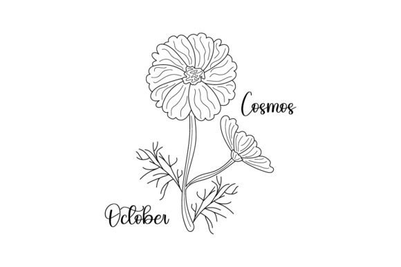 October Cosmos Embroidery Design